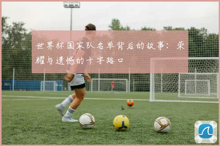 世界杯国家队名单背后的故事：荣耀与遗憾的十字路口