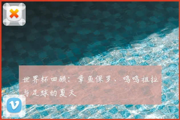 世界杯回顾：章鱼保罗、呜呜祖拉与足球的夏天